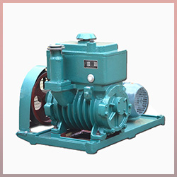 2X双极旋片真空泵